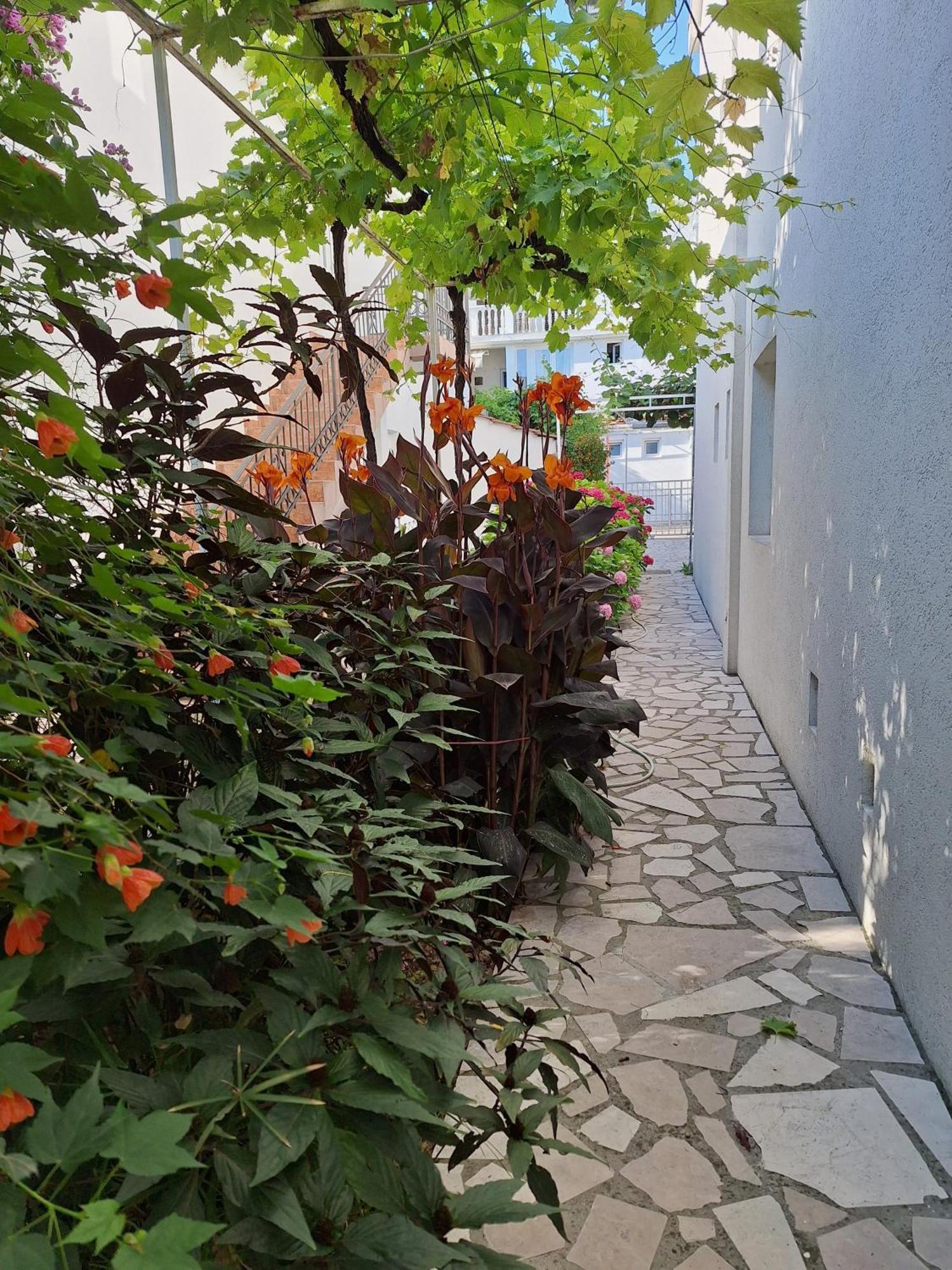 Apartmani Hortenzija Budva Exterior foto