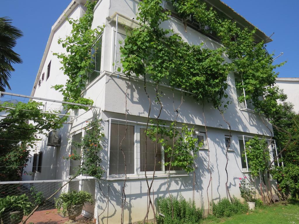 Apartmani Hortenzija Budva Exterior foto